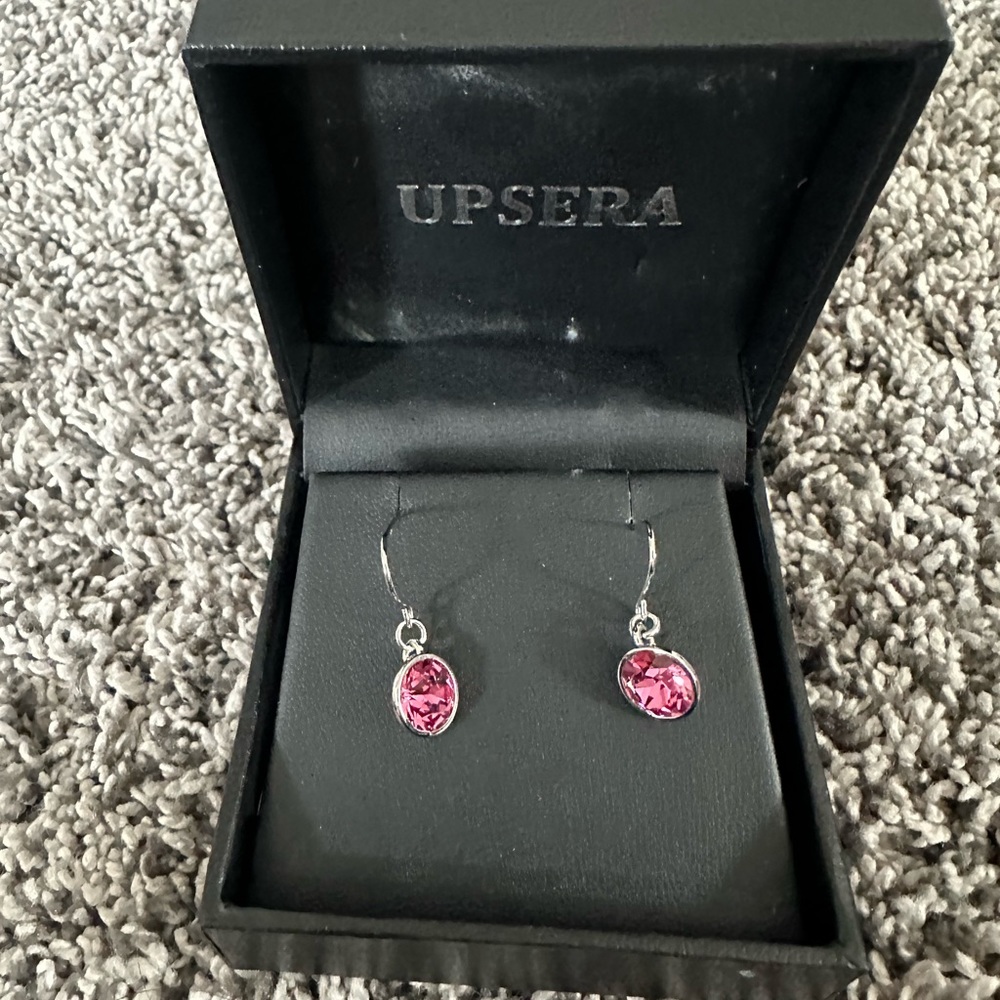 brand new earrings with box